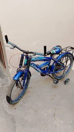 Lotus cycle