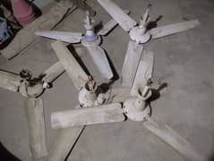 used fans