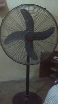 Stand Fan