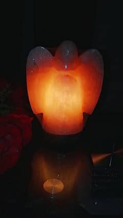 Himalayan Salt decorations lamp