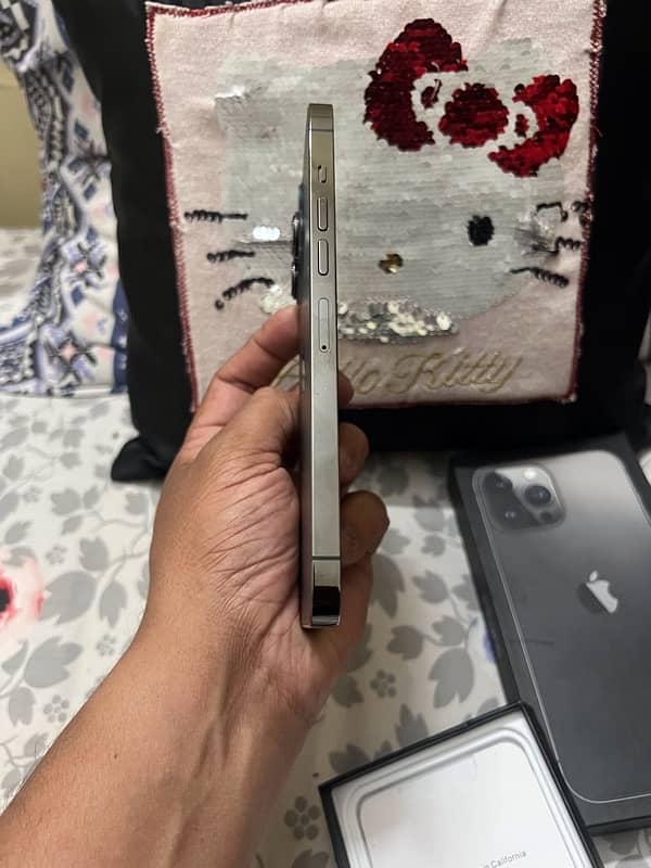 iPhone 13 Pro Max PTA Approved 8