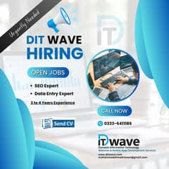 SEO & Data Entry Expert