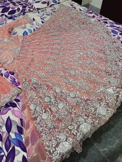 walima  maxi
