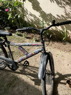 Hand Painted Bicycle