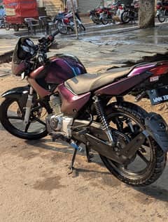 Modified Ybr Esd (2019)