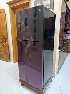 PEL Inverter Glass Door Refrigerator (Full Size)