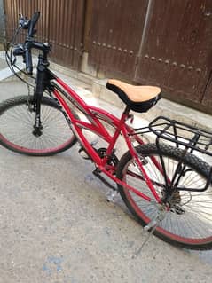 Plus Cycle Mountain 514