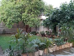 33 Marla Very Prime Location Single Storey Decent House Available For Rent Civil Lines