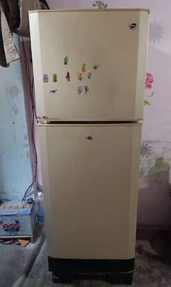 Pel Fridge double door medium size