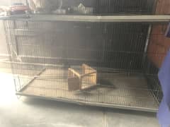 Cages available