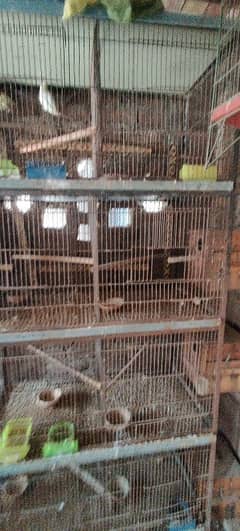 cage 8 portion