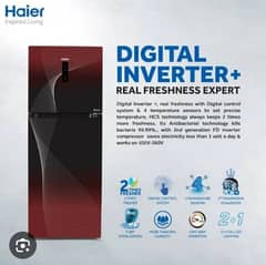 fridge haier company full size