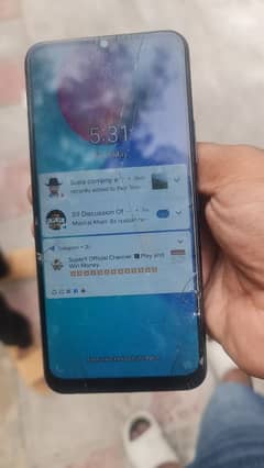 vivo