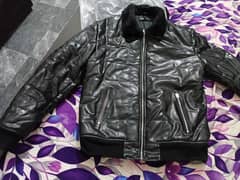 Medium size