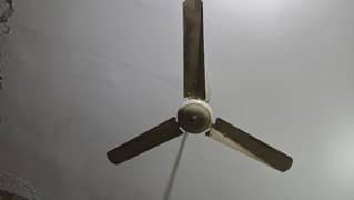 Fan For sell