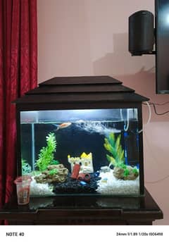 A Fish Aquarium for sale