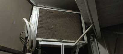 PEL FIT (INVERTRON)