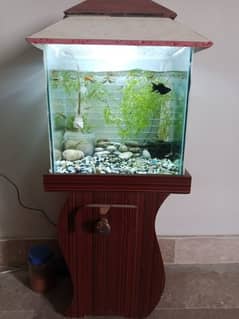 Aquarium with stand top lights & filter