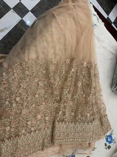 beautiful saree