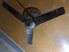 Ceiling Fan