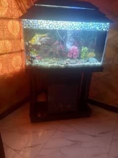 Fish Tank