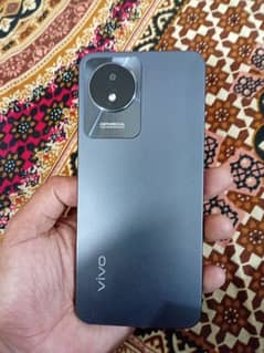 vivo