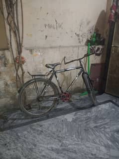 sycle new ha
