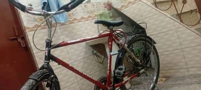 phoneix bicycle 7 month use all ok