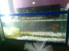 luxury fish aquarium