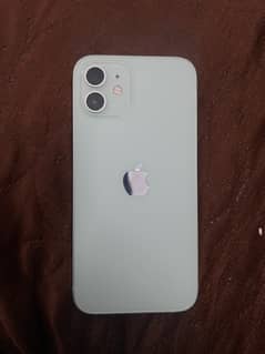 iphone 12 dual pta approved