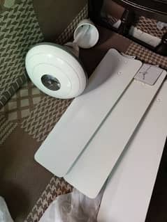 Royal Ceiling Fan (just like new) Price is negotiable