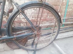Original Phoenix China cycle