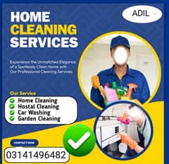 home cleaning car washing