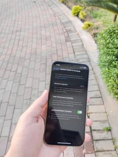 Iphone 12 pro/ pta approved