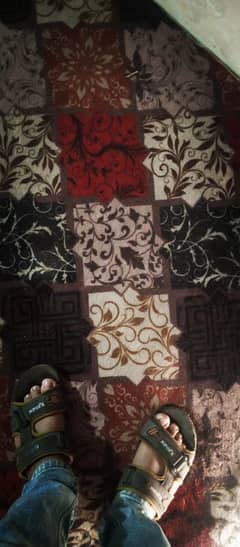 Carpet full size (12*15) 0364905051