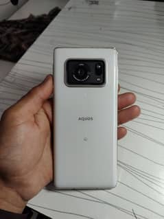 Sharp Aquos R6 nonpta