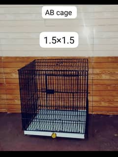 AB birthday cage