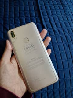 Vivo