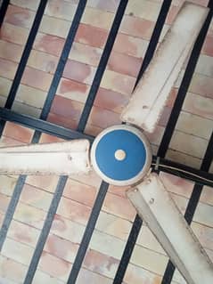Ac/Dc fan 2 for sale