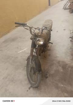 habib