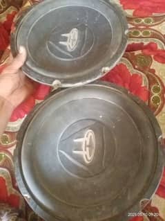 12" non repairs speakers quantity 2