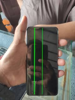Oneplus 9 12/256.   green line