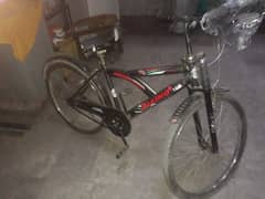 speed cycle