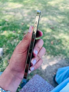 13 Pro max Non Pta