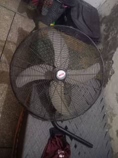 royal fan