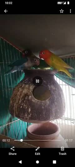 video available
