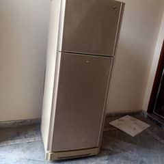 pel fridge 03215479892