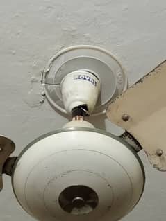 Rohal fan  deluxe white
