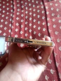 iPhone 14pro max