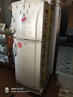 Pel Refregrator Medium size